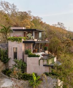 the house is surrounded by trees and plants