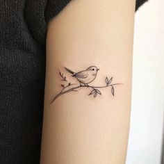 Small Arm Tattoos Tattoo Master Kit Small Bird Tattoos For Women, Wild Rose Tattoo, Start Conversation, Small Bird Tattoos, Bird Tattoos For Women, Bird Tattoos, Tattoo Master, Small Arm Tattoos, Just Ink