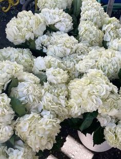 white flowers are in a vase on the ground