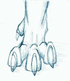 a pencil drawing of an animal's legs and feet with one foot on the ground