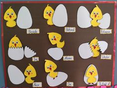 a bulletin board with different types of eggs and chicks on it, including one chick