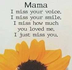 a sunflower sitting in front of a white wall with the words mama on it