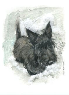 a drawing of a small black dog laying on top of snow covered ground with his head turned to the side