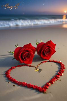 two red roses in the shape of a heart on beach with ocean and sky background