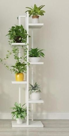 a white shelf filled with potted plants on top of wooden floor next to wall