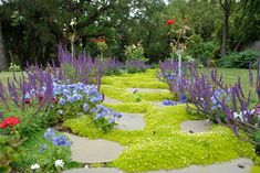 the garden is full of colorful flowers and plants