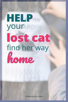 a person holding a book with the words help your lost cat find her way home