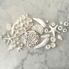 various sea shells and starfish on a marble surface