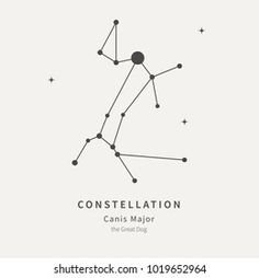 the constellation sign with stars on white background royalty illustration