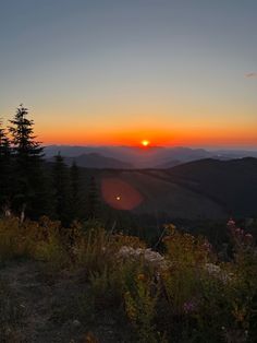 the sun is setting in the distance over some trees and bushes on top of a hill