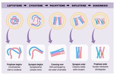 the different types of letters and numbers