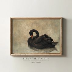 a black swan sitting on top of a white wall next to a framed painting with the words fleur vie vintage