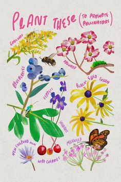 a drawing of plants and flowers with the words plant these