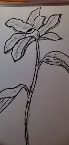 a drawing of a flower on a piece of paper