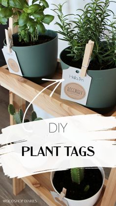 three potted plants with tags attached to them and the words diy plant tags