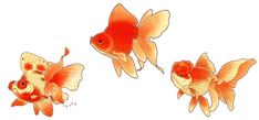 three goldfish swimming side by side on a white background