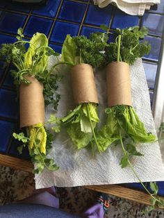 four rolls of toilet paper with lettuce wrapped around them on top of a counter