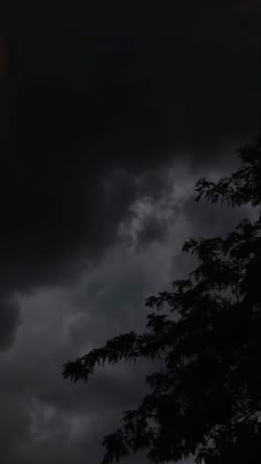 the sky is dark and cloudy with some trees in front of it at night time