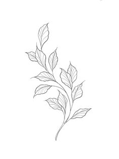 Leaf Tattoo Template, Tattoos Of Leaves, Philodendron Tattoo Leaves, Simple Leaf Tattoo Design, Leave Vine Tattoo, Tattoo Leaf Designs, Leaves Tattoo Drawing, Simple Leaves Tattoo