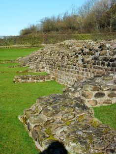 the shadow of a person standing in front of a stone wall and green grass area