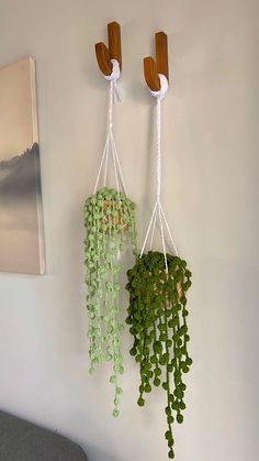 two green plants hanging from hooks on the wall