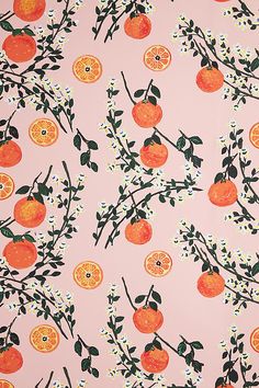 an orange tree with leaves and flowers on a pink background wallpaper design by person