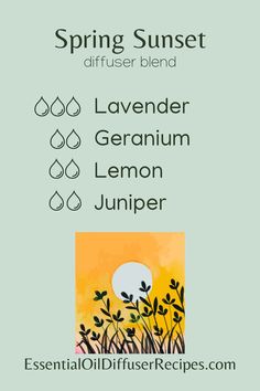 The Spring Sunset essential oil diffuser blend contains lavender, geranium, lemon, and juniper essential oils. Spiritual Essentials, Spring Diffuser Blends, Eo Blends, Juniper Essential Oil, Scentsy Oils, Fragrance Blends, Spring Sunset, Essential Oil Combinations, Spring Evening