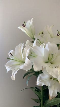 white flowers in a vase on a table