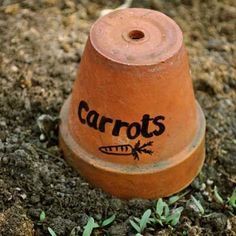 an orange pot sitting in the dirt with carrots on it's side and words that read carrots