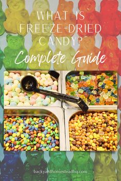 what is freeze - dried candy complete guide