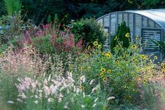 a garden with lots of flowers and plants growing in it's side yard, next to a small greenhouse