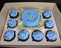 a box filled with blue frosted cupcakes sitting on top of a table