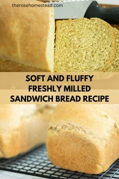 soft and fluffy freshly milled sandwich bread recipe