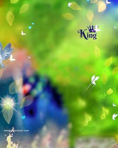 a colorful background with flowers and butterflies in the foreground is an image of a king