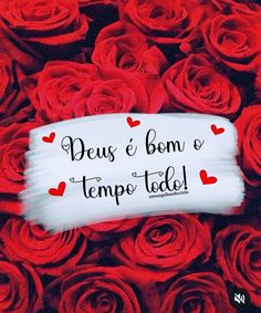 red roses with the words deus e bom e tempo toto