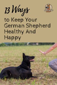 a woman kneeling down next to a german shepherd dog on the grass with text overlay that reads, 13 ways to keep your german shepherd healthy and happy