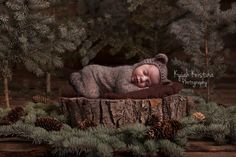 a baby sleeping on top of a tree stump in the woods with pine cones around it