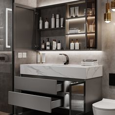 a bathroom with a sink, toilet and shelves