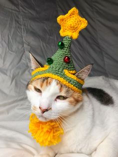 a cat wearing a crocheted christmas tree hat on top of it's head