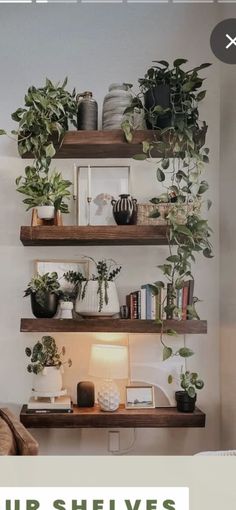 #house decor #kitchen ideas #house ideas #homes #houses #home ideas #dream house decor #apartment decorating #design your dream house #small living room ideas Minimalist Decor With Plants, Picture Plant Wall, Plant Wall Indoor Shelves, Shelf Organization Ideas Living Room, Greenery Shelf Decor, Boho Shelving Decor, Dinning Room Wall Shelf Decor, Kitchen Plant Shelf Decorating Ideas, Greenery In Living Room Decor