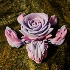 three purple flowers sitting on top of a green surface