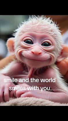 a baby monkey is smiling with the caption smile and the world smiles with you