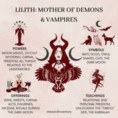 the different types of demons and vampires are shown in this graphic above it is an image