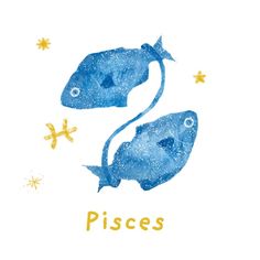 two pisces are swimming in the water with gold stars around them on a white background