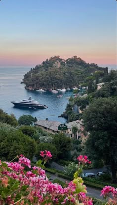 an island with boats in the water and pink flowers growing on it's side