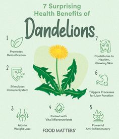 Dandelion Benefits, Tea Health Benefits, Green Recipes, Food Matters