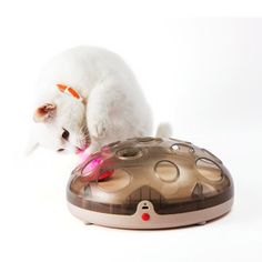 a white cat playing with a toy on top of a device that looks like a spaceship