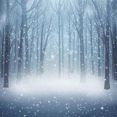 a snowy forest with trees and snow flakes