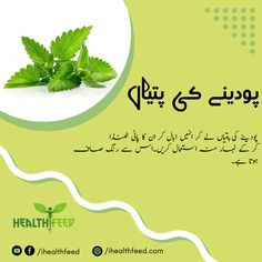 Daily health and beauty tips in urdu #healthtips #health #healthylifestyle #healthyliving #healthyfood #fitness #healthy #healthyeating #wellness #weightloss #nutrition #healthcare #beautytips #diet #healthylife #fitnessmotivation #selfcare #tips #healthiswealth #motivation #healthandwellness #healthtipsoftheday #holistichealth #healthytips #detox #nutritionist #healthinfo #womenshealth #gym #bhfyp Jeera Water, Lemon Health, Water With Lemon, Selfcare Tips, Health Chart, Water Health, Home Health Remedies, Natural Health Tips