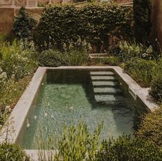 an outdoor swimming pool surrounded by greenery